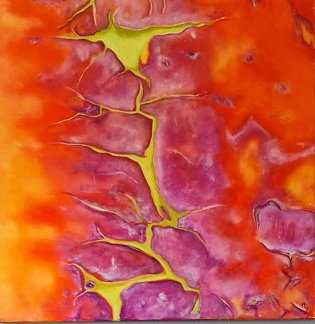 "Ecorce - Madrone du Pacifique "